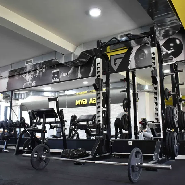 mega gym batajnica